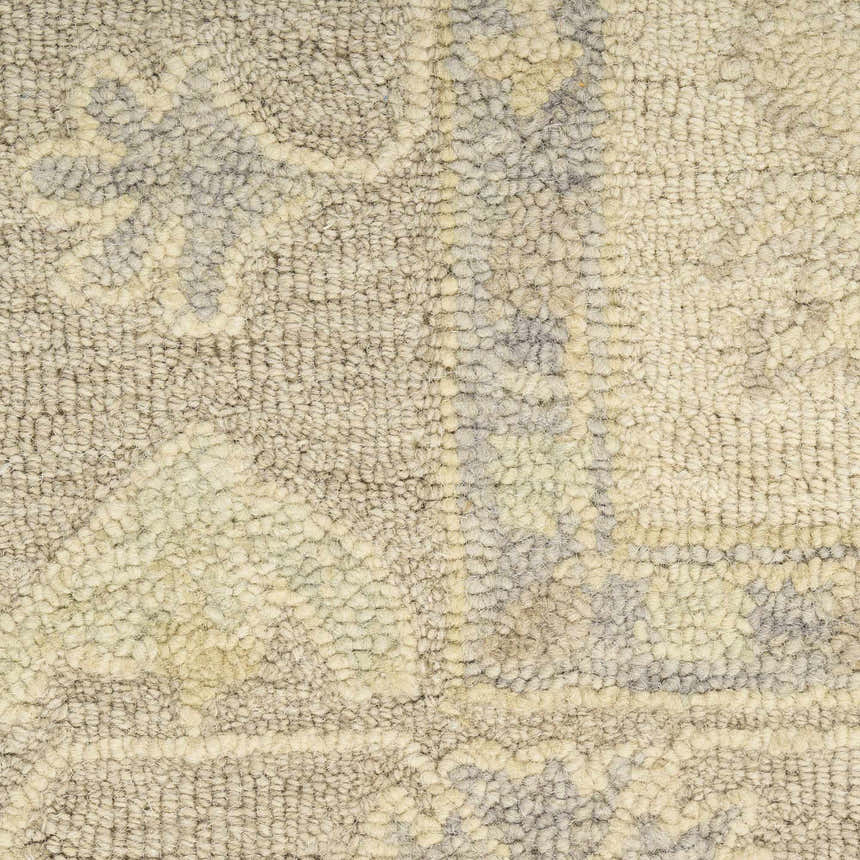 Close-up of the handmade Nourison Maison Ivory Taupe Vintage Area Rug, showing pile texture and subtle floral pattern.