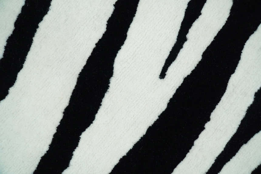 Antelope Rug, Hand Tufted Black and White Zebra Area Rug, Modern Wool Area Rug | ANI1