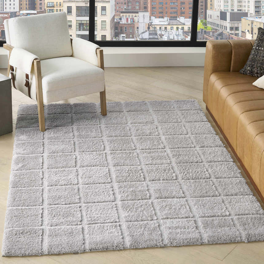 Modern living room with a DKNY West End Ave Grey rug, white armchair, and tan leather sofa.
