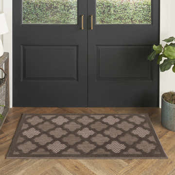 Entryway with a Nourison Easy Care Brown Modern Area Rug. Dark door, wood floor, and potted plant.
