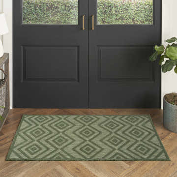 Entryway with Nourison Versatile Green Modern Area Rug, black door, wood floors, and potted plant.