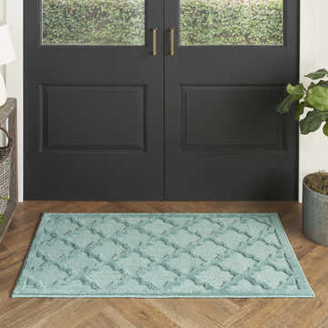 Entryway with Nourison Easy Care Aqua Teal Modern Area Rug, wood floors, and black door.