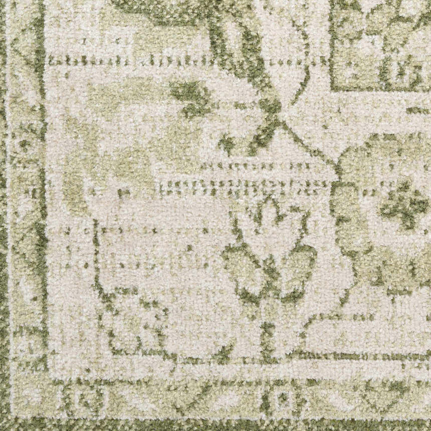 Close-up of the Nourison Astra Ivory Green Rug showing vintage pattern and soft texture.