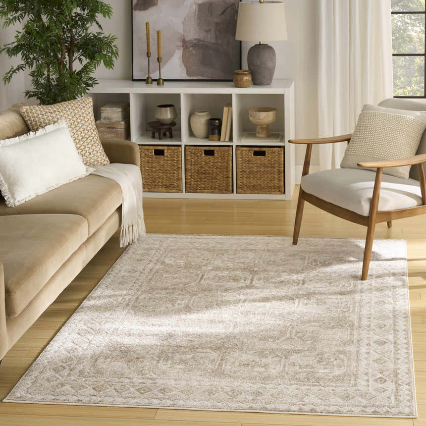 Living room scene with a cream beige sofa and the Nourison Dekor Vintage Area Rug.