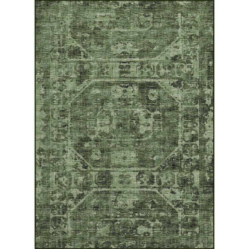 Close-up of the Dalyn Aberdeen AB2 Cactus rug. Green tones and traditional pattern. Machine-made, indoor/outdoor rug.