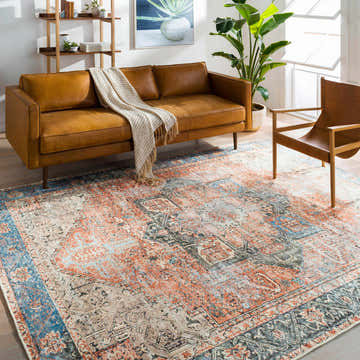 Livabliss Amelie AML-2309 Washable Area Rug
