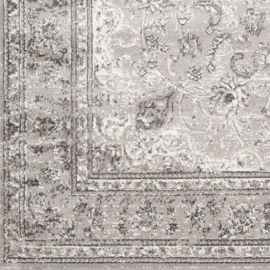 Sample Eytientiro Area Rug - Clearance