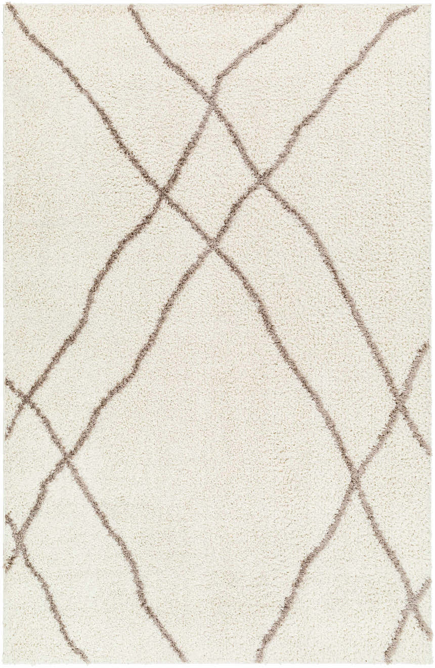 Sample Awnan Area Rug - Clearance