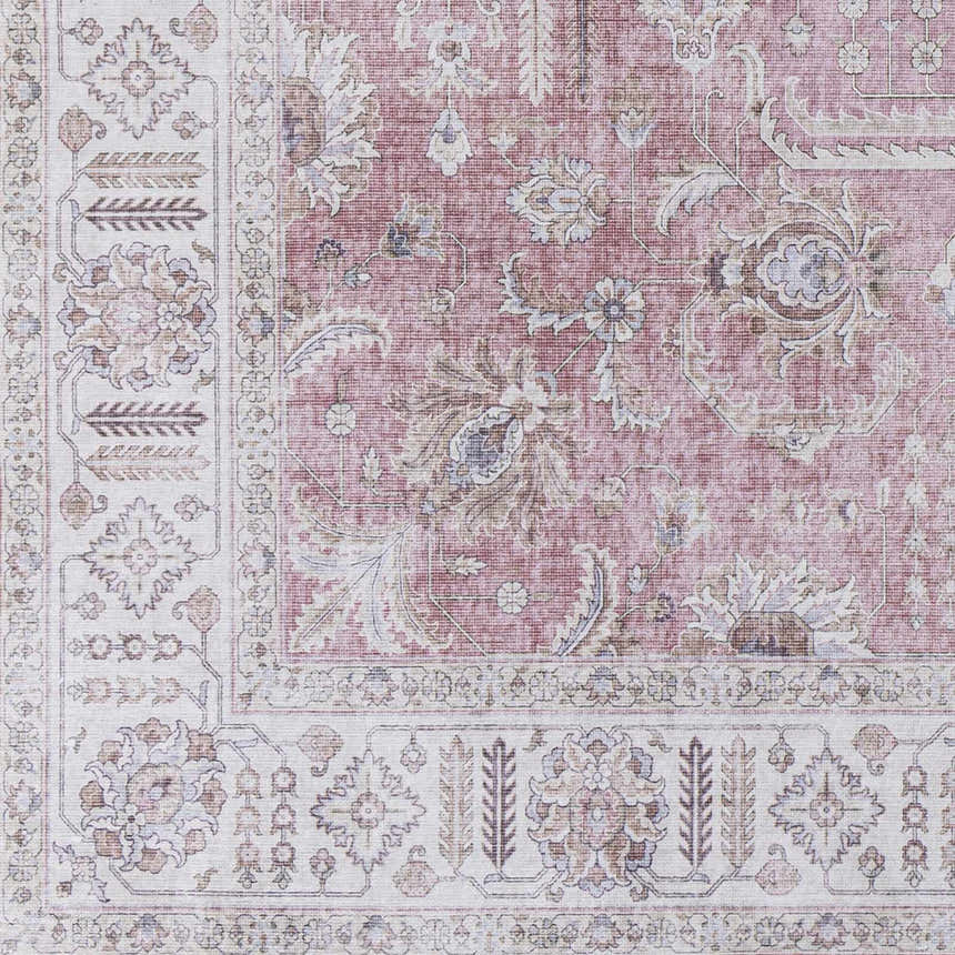 Sample Bergman Distressed Red Area Rug