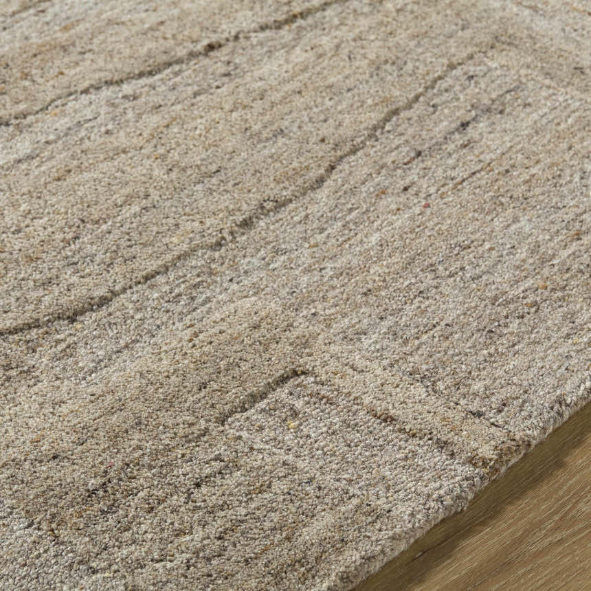 Close-up of the Brasen Tan Area Rug showing the beige, tan, and taupe tones and hand-tufted wool texture. Texture