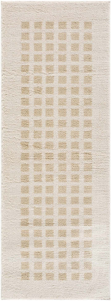 Close-up of the Baback Beige Washable Area Rug. Features a textured, low-pile design with beige square pattern on a cream background. Design-Runner-2773