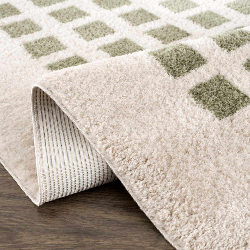 Baback Green Washable Area Rug