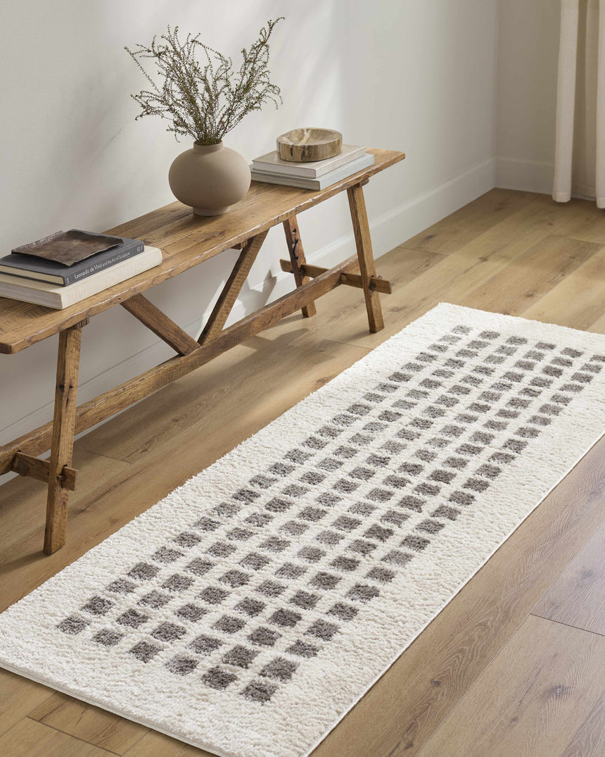 Baback Charcoal Washable Area Rug