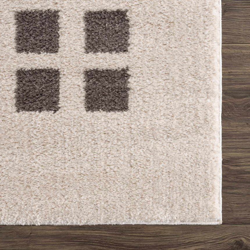 Baback Charcoal Washable Area Rug