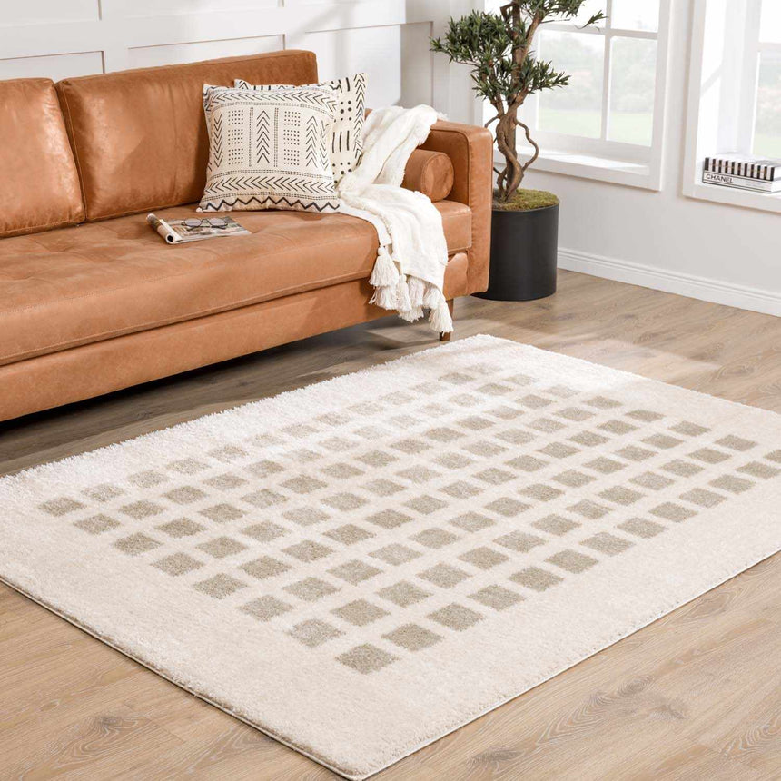 Baback Gray Washable Area Rug