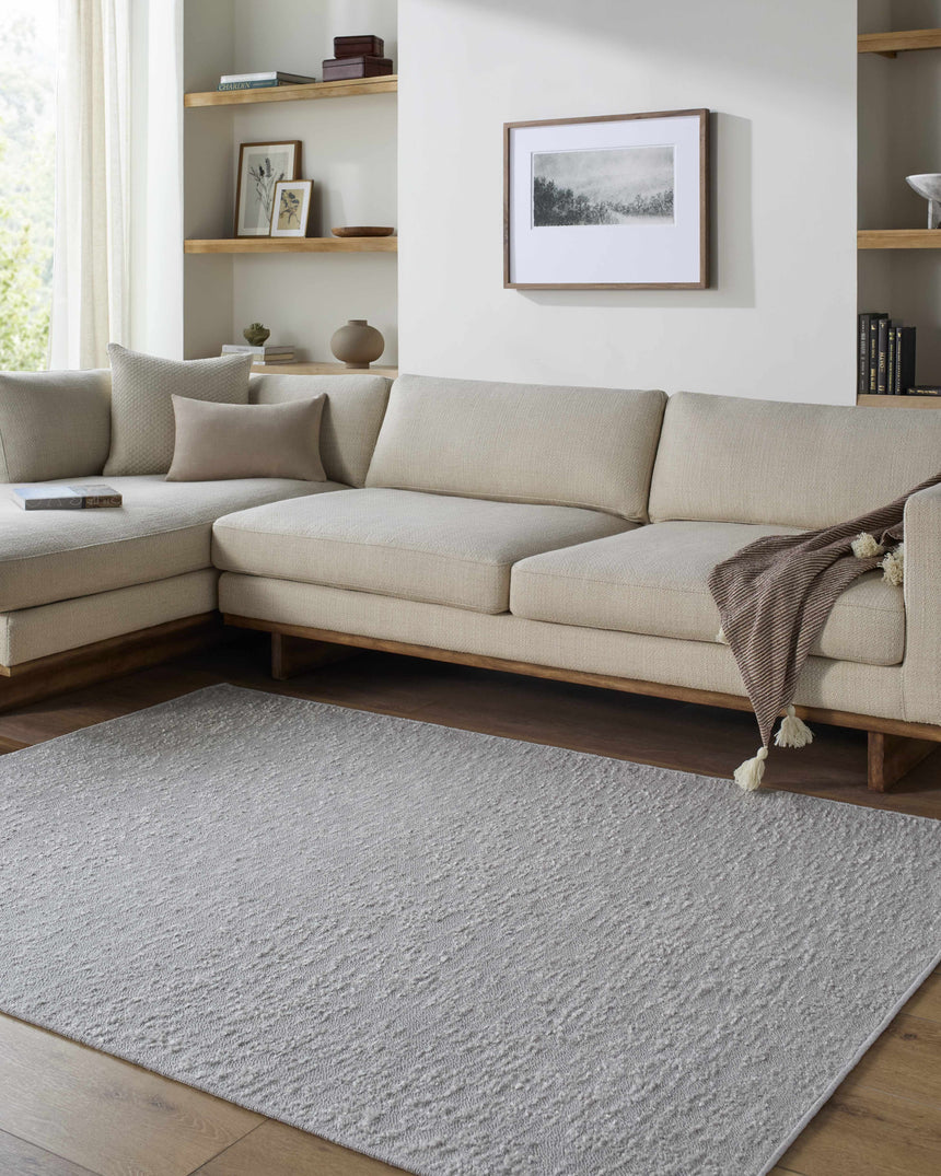 Breena Medium Gray Washable Area Rug