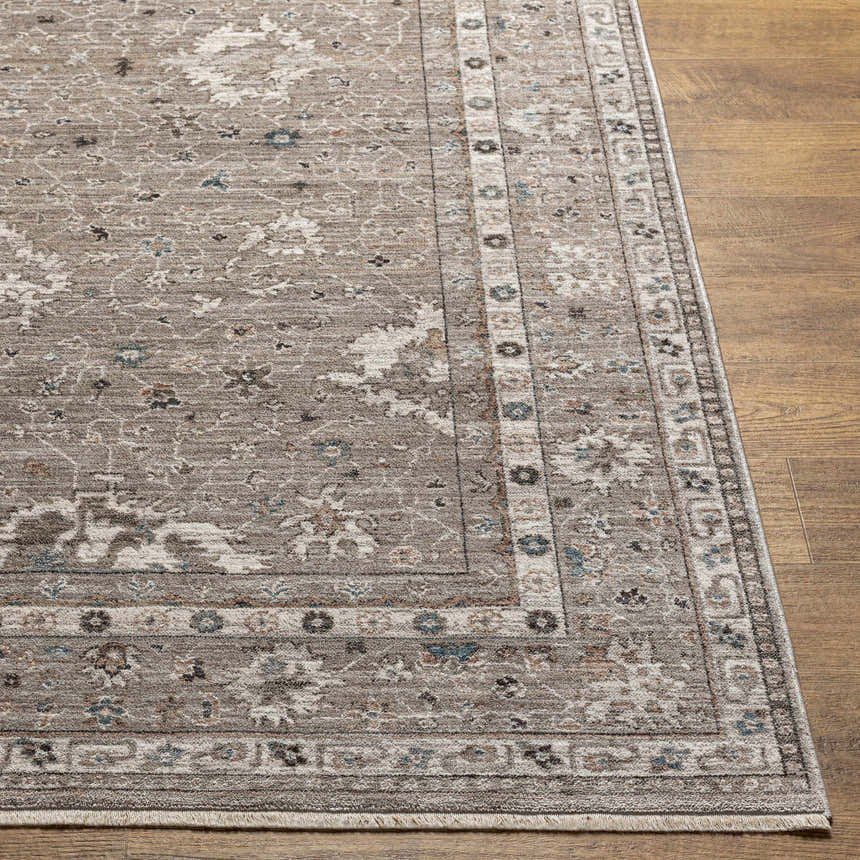 Close-up of the Bolitoc Area Rug showing its brown, ivory, and blue traditional floral pattern and soft texture. Front