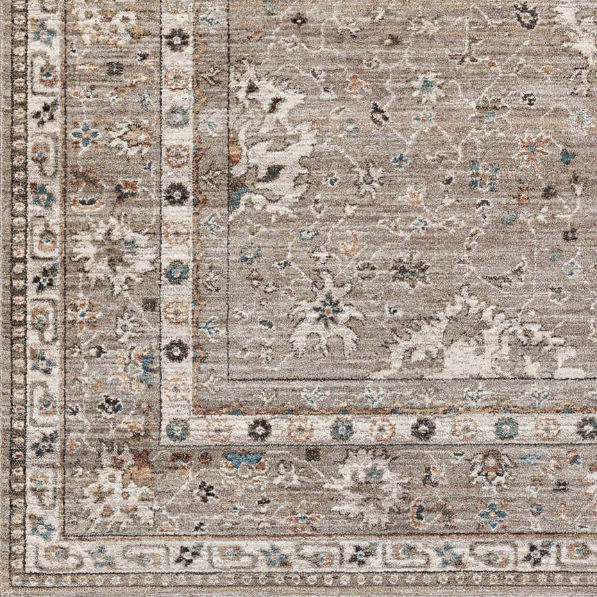 Close-up of the Bolitoc Area Rug. Brown, charcoal, ivory, pale blue, and sage traditional oriental rug pattern. Swatch