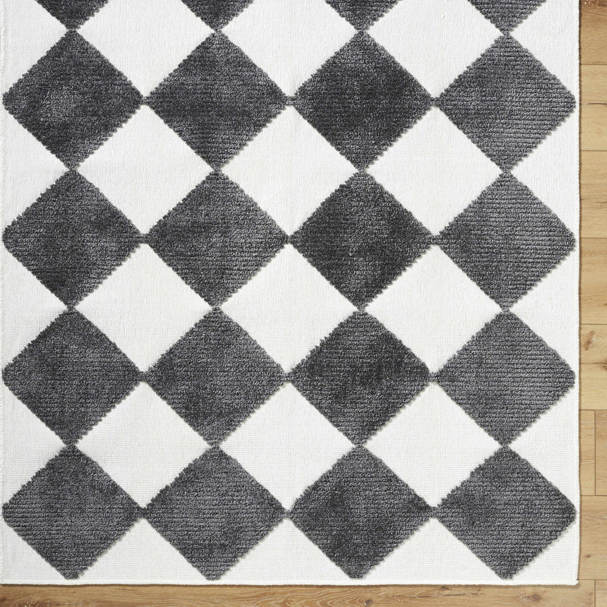 Bosley Black Washable Area Rug