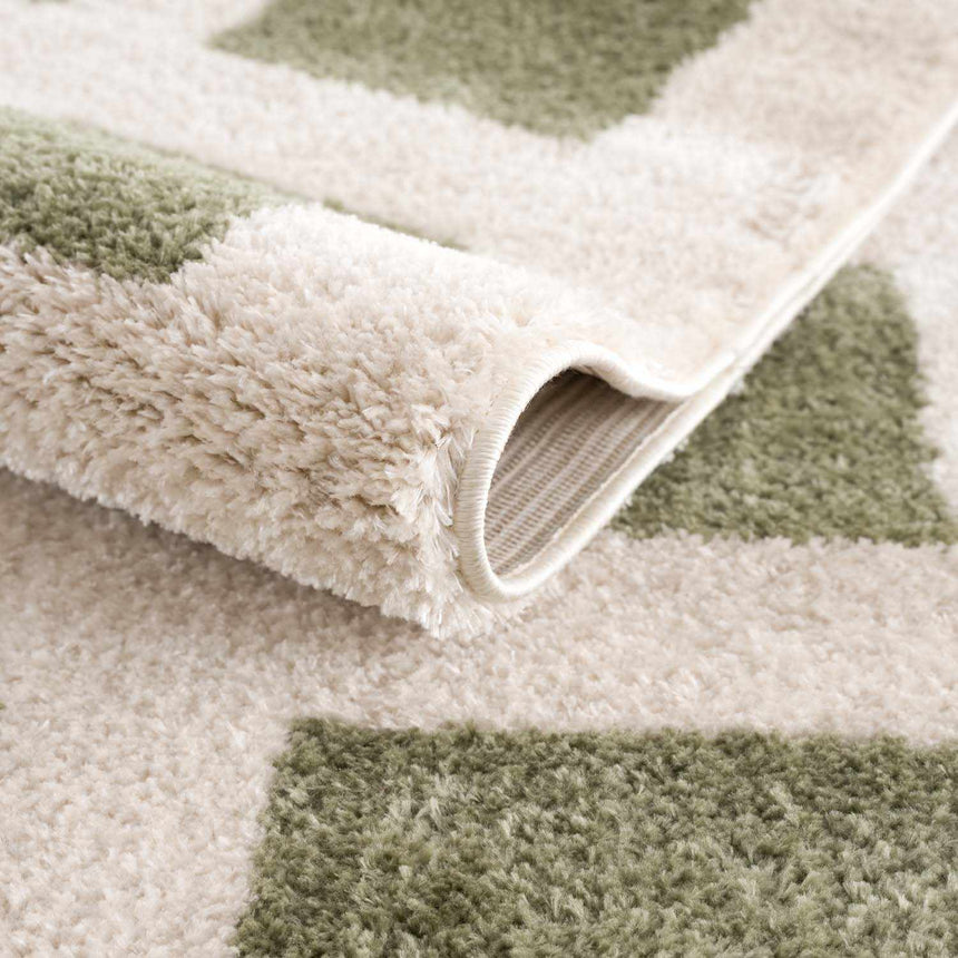 Beynon Green Washable Area Rug