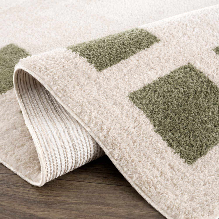 Beynon Green Washable Area Rug