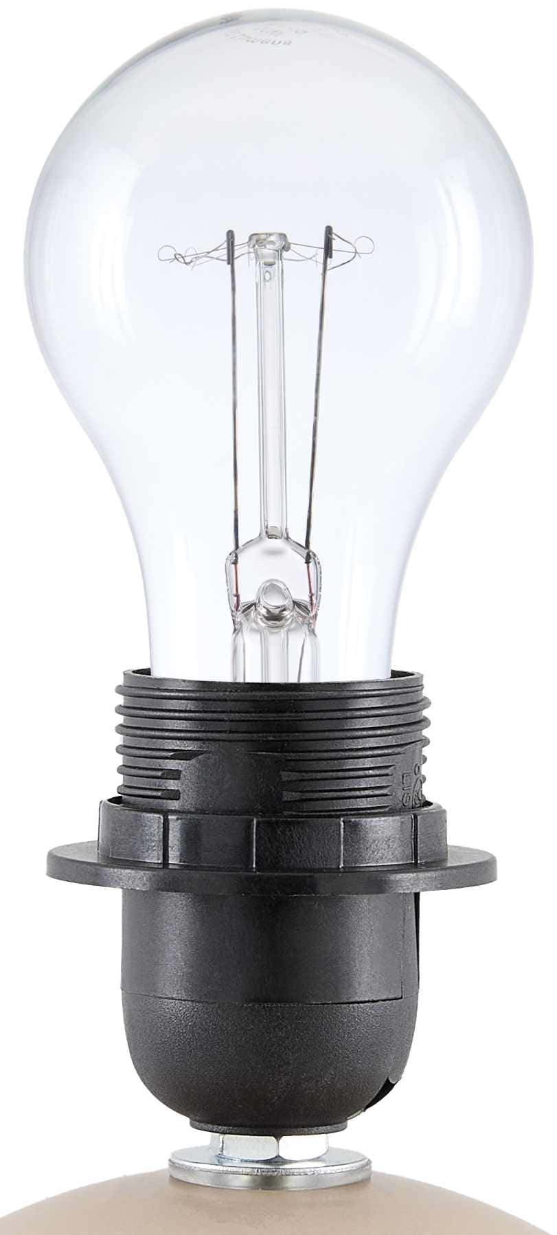 Brennberg Coral Table Lamp