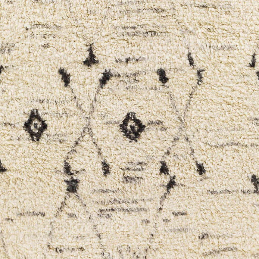 Sample Buronga Area Rug - Promo