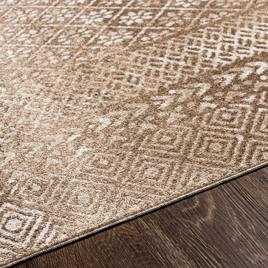 Close-up of the Caditaan Washable Area Rug. Brown, cream, and light beige tones with a traditional geometric pattern. Texture