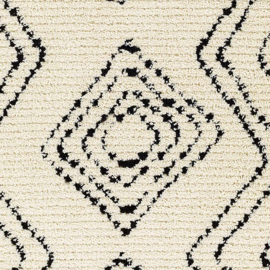 Sample Canhaway Area Rug