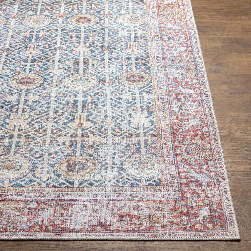 Close-up of the Rust Catadupa Distressed Washable Area Rug showing its blue, gray, and nutmeg Persian-style design. Front