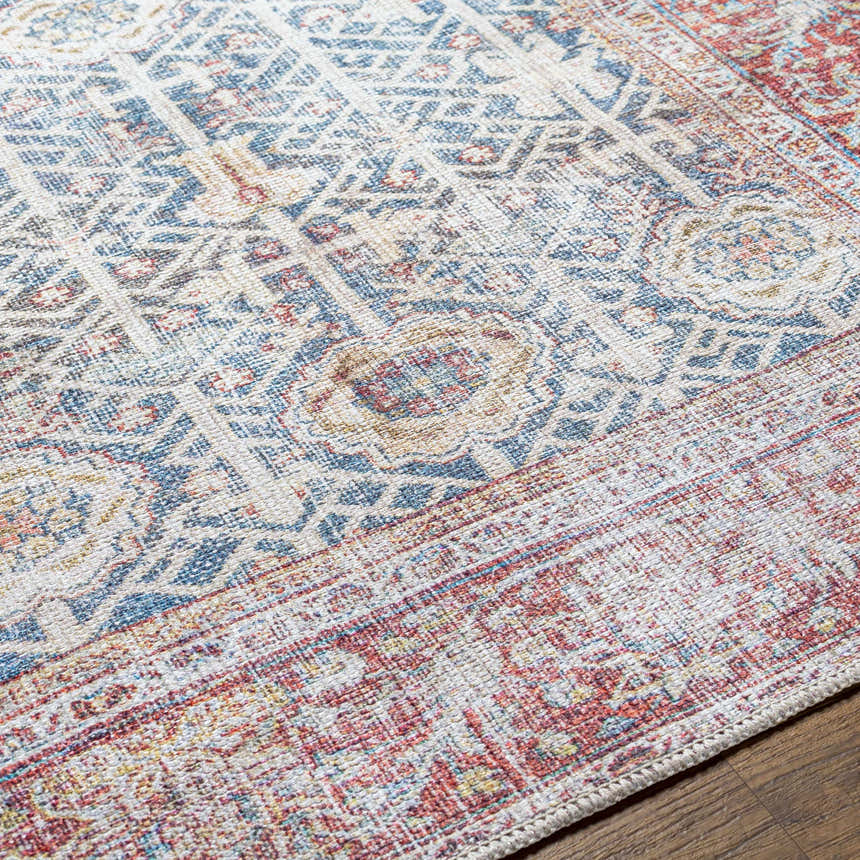 Close-up of the Rust Catadupa Distressed Washable Area Rug showing its traditional Persian-style design and texture. Texture