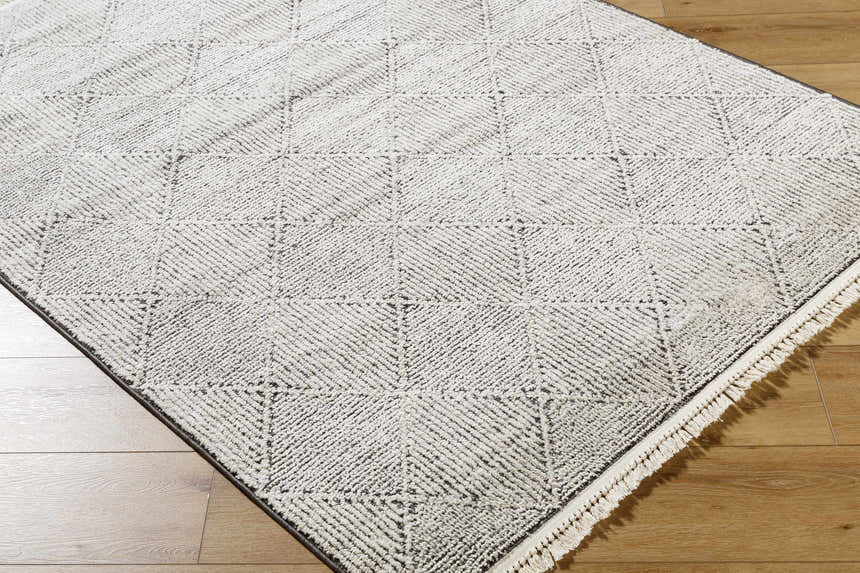 Close up of the Cannan Area Rug showing its ivory and black contemporary geometric pattern and fringe detail. Corner