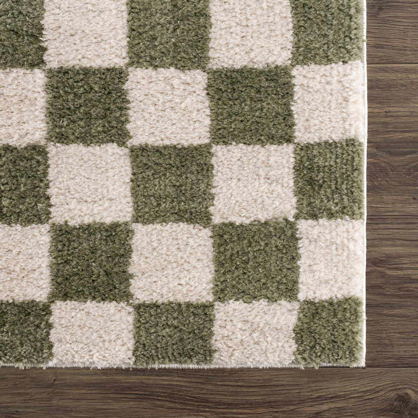 Sample Canika Green Checkered Washable Plush Rug