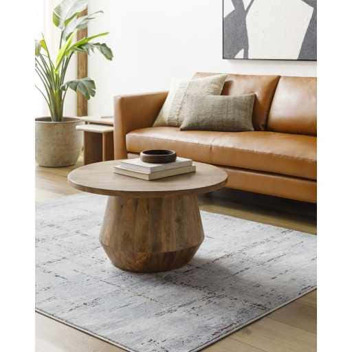 Living room scene with a Concordia Faux Silk Rug in gray under a wood coffee table and tan leather sofa. Roomscene-Rectangle