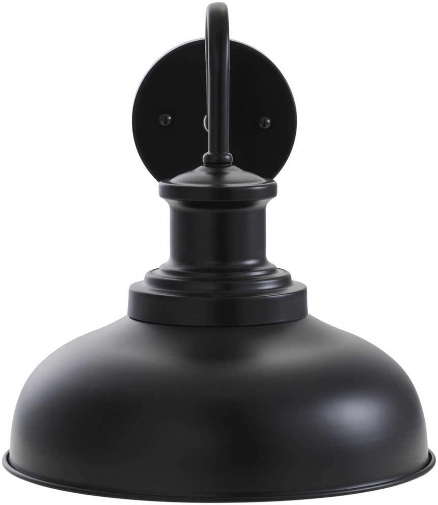 Acultzingo Outdoor Wall Sconce
