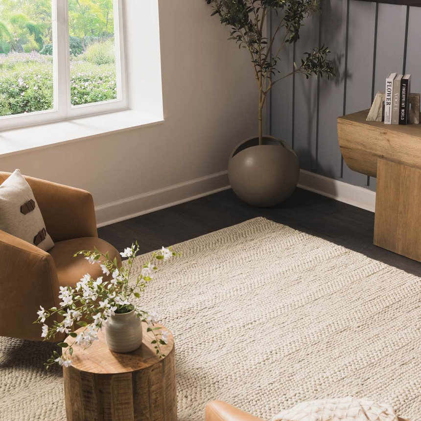 Living room scene with a Clarke Textured Braided Stripe - Dark Beige Area Rug, brown chair, and wood accents. Roomscene-Rectangle