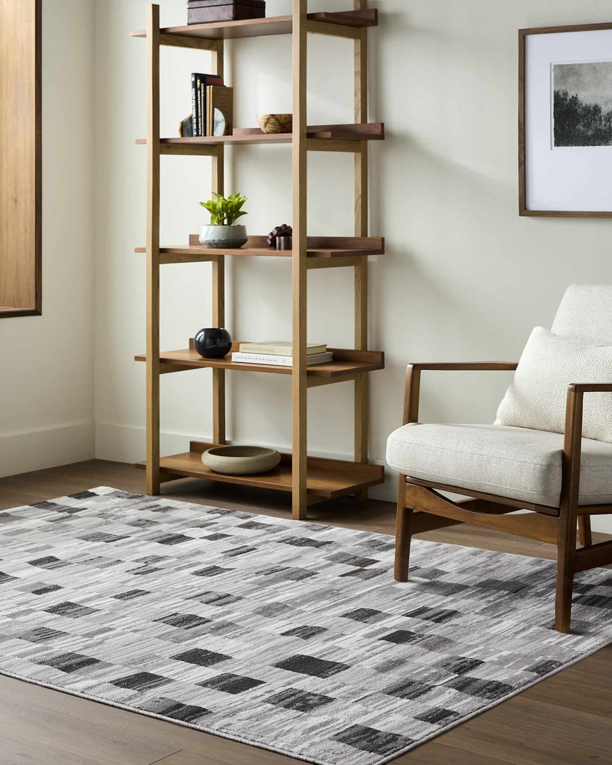 Alagan Medium Gray Area Rug