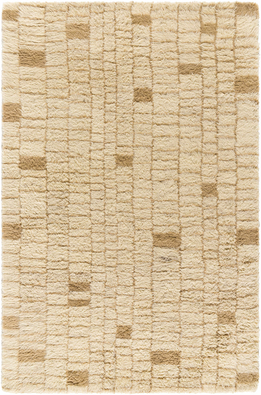 Anusha Area Rug
