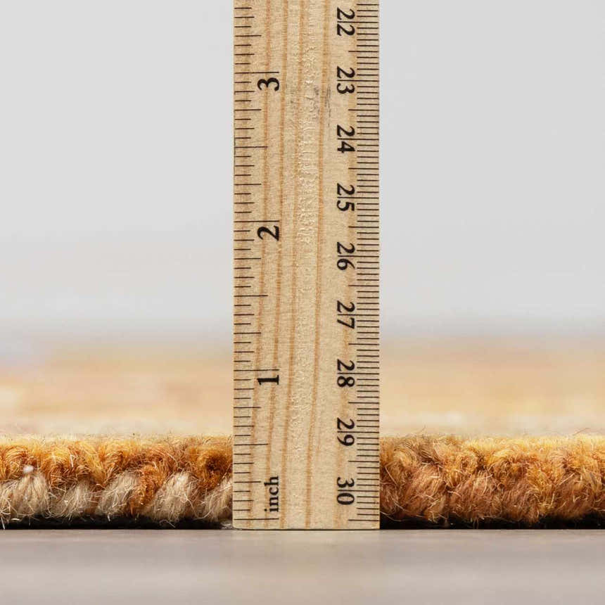Pile