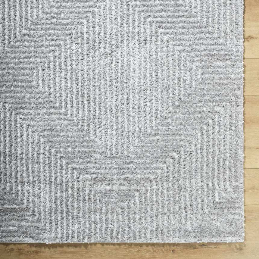 Ashlyn Gray Area Rug
