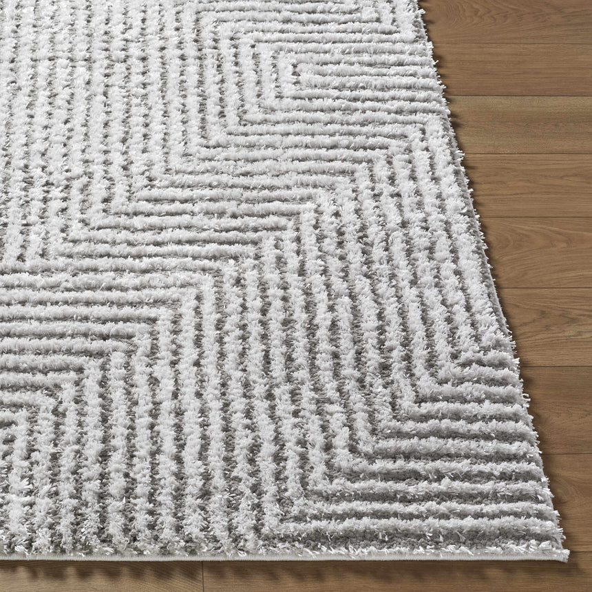 Ashlyn Light Slate Area Rug