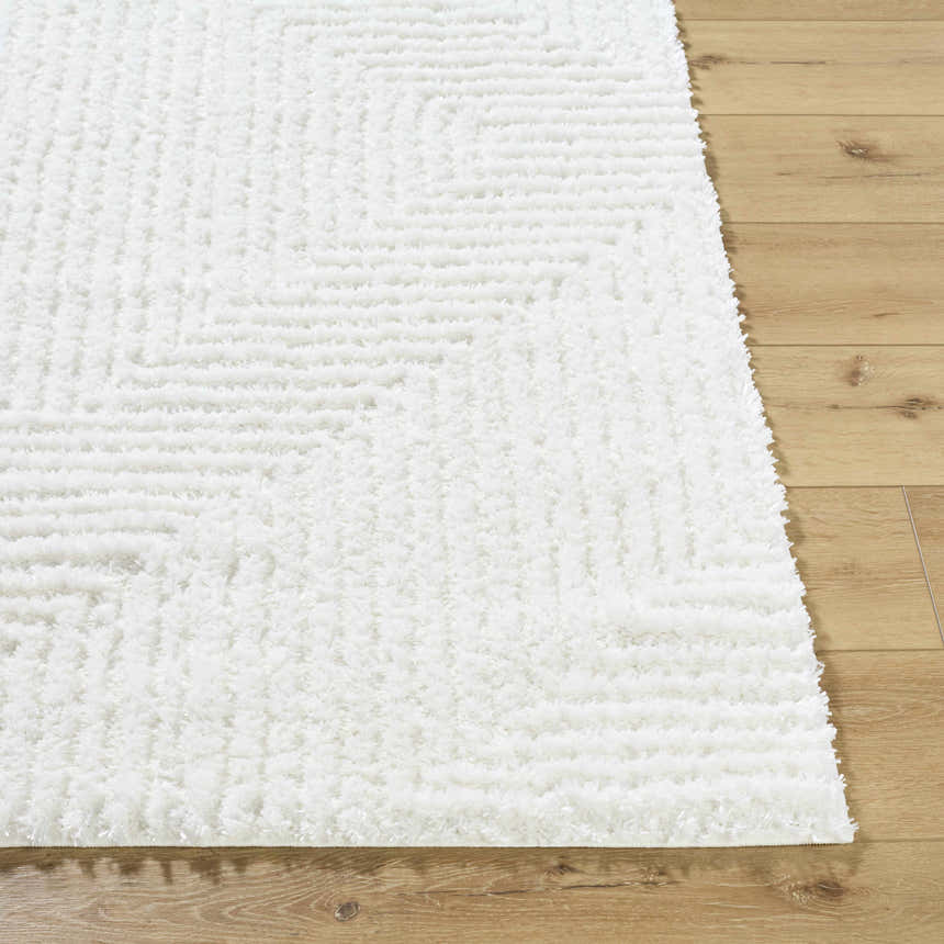 Close-up of the Ashlyn White Area Rug showing its shag texture and subtle geometric pattern on a wood floor. Front