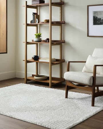 Living room scene with a cream Ashlyn White Area Rug, wood shelving unit, and mid-century modern chair. Roomscene-Rectangle