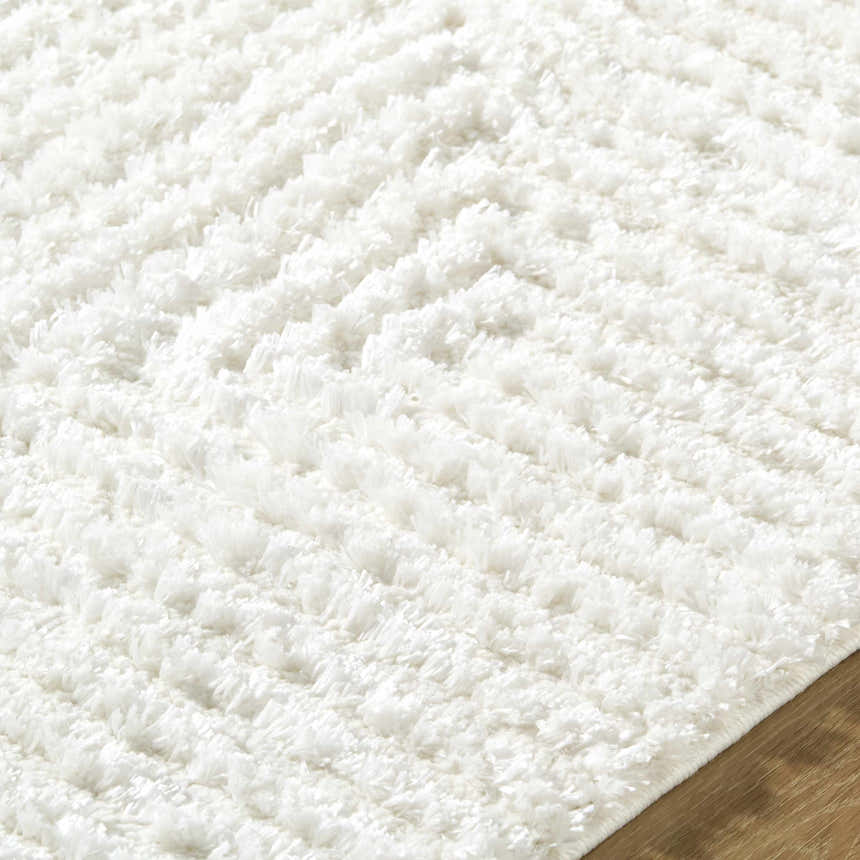 Close-up of the plush, textured shag of the cream and white Ashlyn White Area Rug. Texture