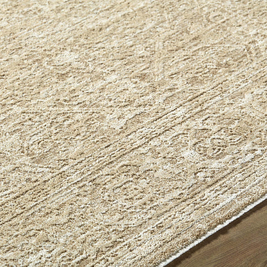 Close-up of the Antoan Sandstone Area Rug showing its ivory, sandstone, and taupe colors and traditional design. Texture