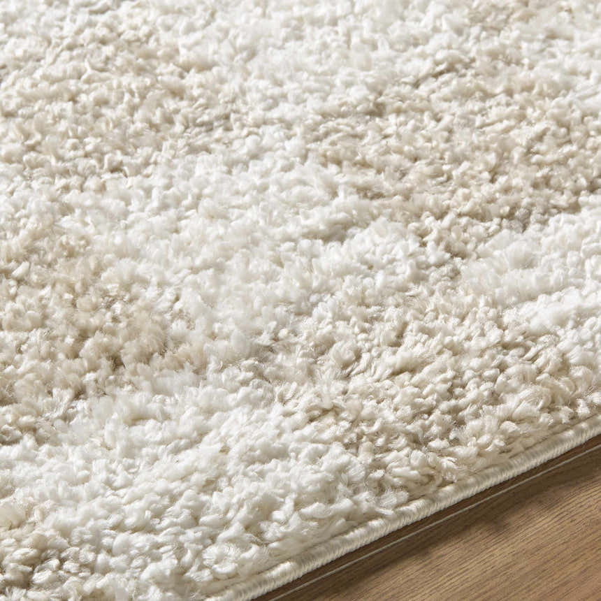 Close-up of the plush, ivory Gallicchio Area Rug. Machine woven polypropylene texture. Texture