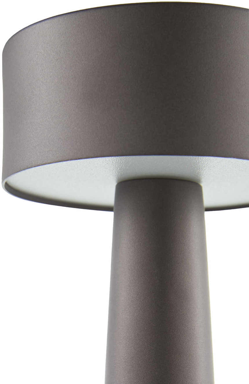 Ibipitanga Dark Red Table Lamp