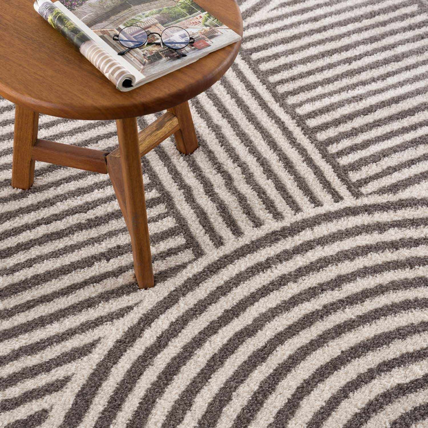 Allard Charcoal Washable Area Rug