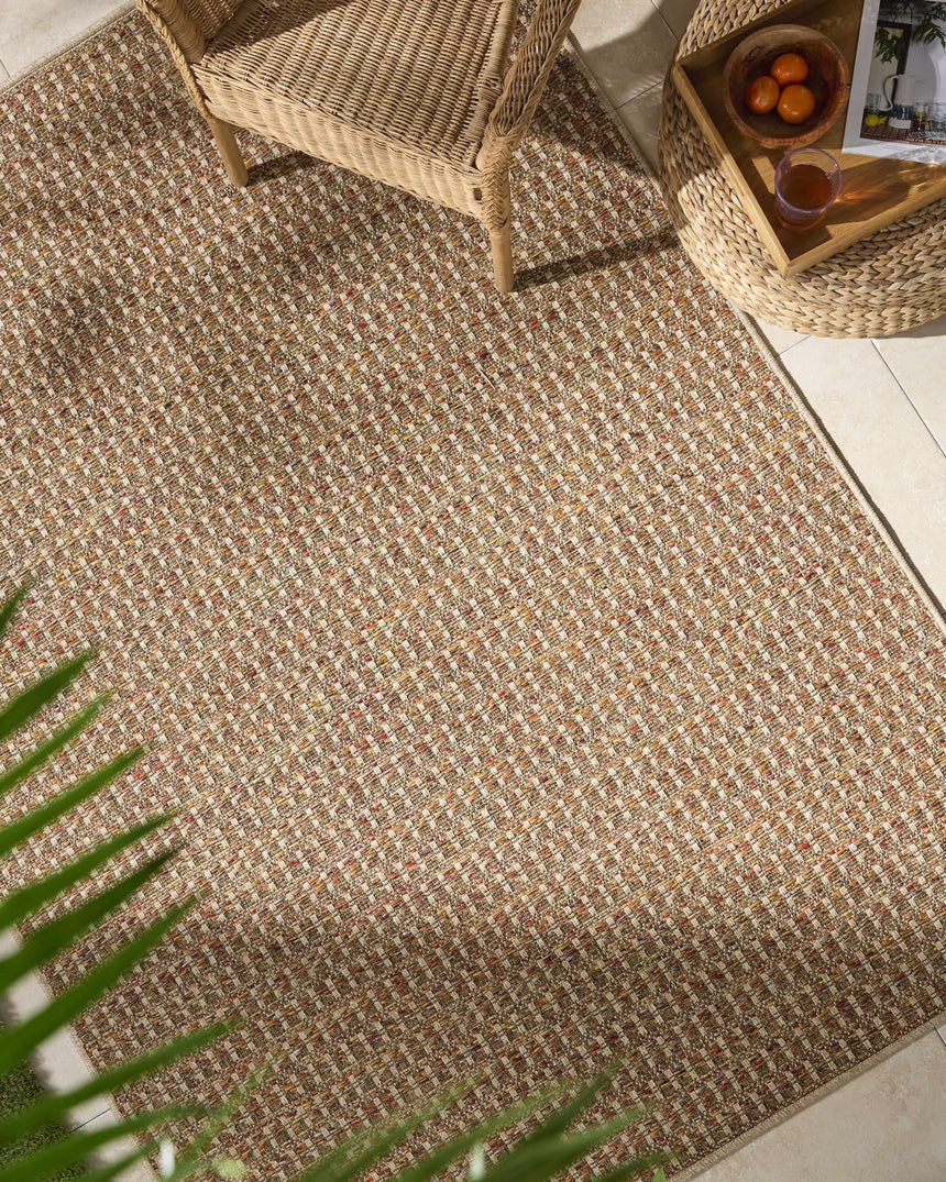 Ataret Burnt Sienna Area Rug