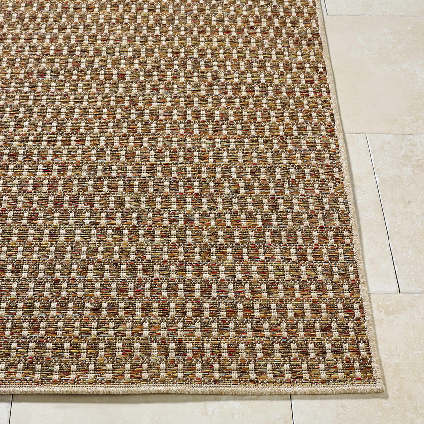 Ataret Burnt Sienna Area Rug